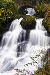 Rouken Glen waterfall, Glasgow - 2947