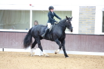 SBM_002331