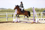 SBM_000608