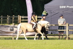 SBM_10994