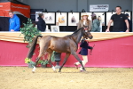 SBM_02968