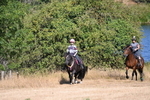 WJ6_7888