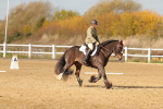SBM_000944