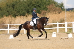 SBM_009017