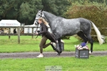 068-DASSETT.PREMIER-Kate.Rocher-Smith-TrotUp portfolio