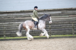 SBM_007969