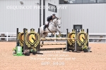 BPP_8408