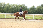SBM_002480