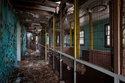 Catskill Game Farm (Catskill, NY) | Nursery Interior