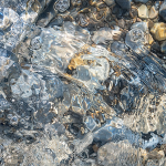 SPLASH #16 - BRUCE COUNTY