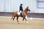 SBM_008251
