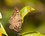 20080927-WE 013