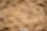 240317A-112614-05588