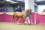 SBM_20976