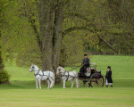 Attelage -263
