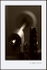 The Millenium Double Bass II