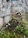 CHINA__0085
