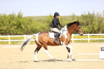 SBM_007903