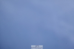 260705A-121307-19440
