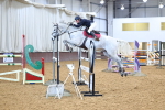 SBM_001334