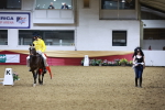 SBM_10295