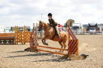 Class 45 Clear Round Jumping portfolio