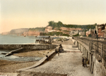 Dawlish  5