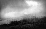 RIVER BANK RUNNER AT DAWN  mono