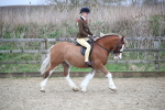 SBM_006027