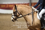 BPP_1721
