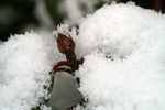 Snow - 07