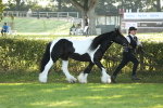 SBM_60870