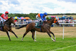 040826-Race 4-Miss Rainbow-5273