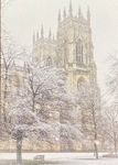 Frosted Trees, York Minster from the Dean’s Park