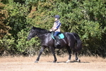 WJ6_7343