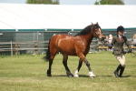 SBM_06975