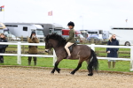 SBM_006834