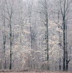WINTER portfolio