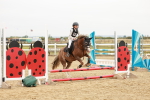 SBM_007285