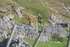 Ilam-1154