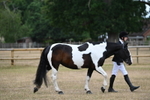 WJ6_7826