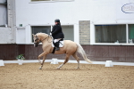 SBM_013388