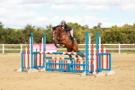 SBM_000956