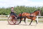 SBM_000883