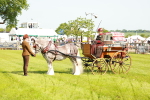 SBM_02600