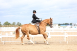 SBM_03408