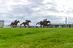 240424-Race 2-Restless Prince-3463