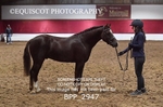 BPP_2947