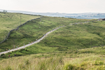 Tebay-36