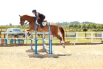 SBM_006636